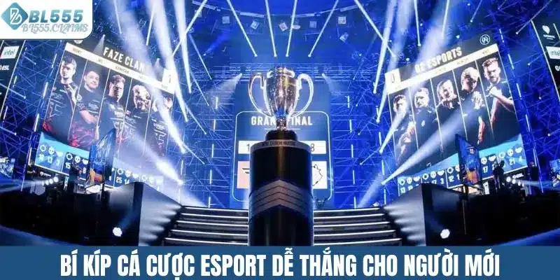 Cách Cá Cược Esport An Toàn, Hiệu Quả Cho Người Mới Bắt Đầu 3 Bí kíp cá cược esport dễ thắng cho người mới