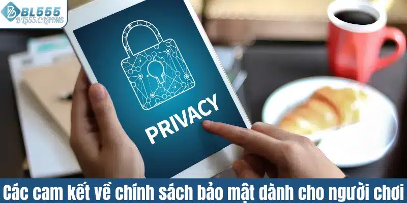 Các cam kết về chính sách bảo mật dành cho người chơi