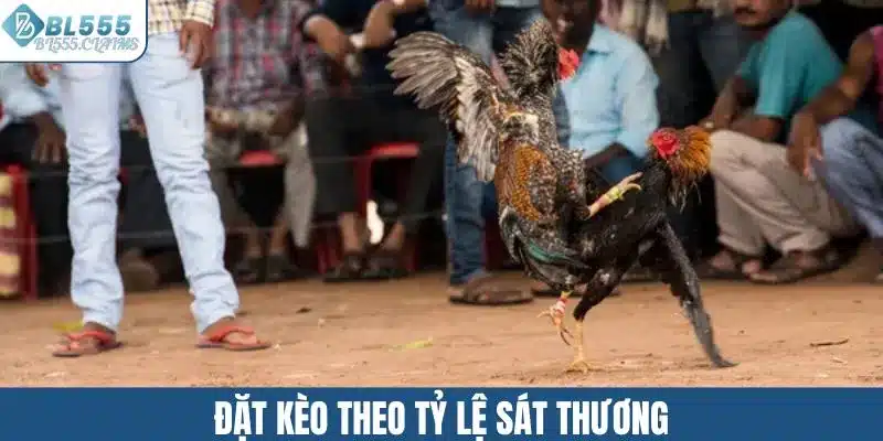 Đặt kèo theo tỷ lệ sát thương